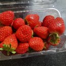 한샘농장 이미지