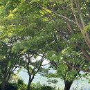 영수목장 이미지