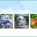 예찬농장 이미지