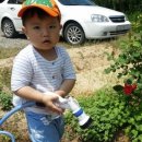 우리티움아이어린이집 이미지