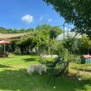 애견가을농장 이미지