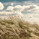 소슬한 「가을바람(秋風)」, 온갖 상념을 불러일으키는 가을바람 한시(漢詩)편 이미지