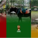 한터농원 영농조합법인 이미지