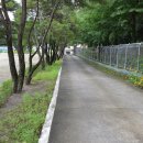 진상초등학교 이미지