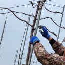 유목농장 이미지