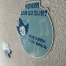 제주한라대학부설유치원 이미지