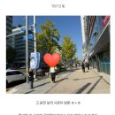 원우 WORLD | 원우 이야기가 96.717%인 세븐틴 고양 콘서트 후기