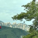 먹방닭갈비 | 가평 금강산 닭갈비 막국수 먹방 후기!