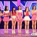 카라 Daum카페