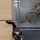 (주)미인나라 이미지