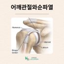 광혜병원 이미지