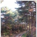 금희농장 이미지