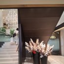 [2025 정신건강의날 기념식 및 포럼] 후기 이미지