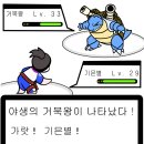 야 은벼라, 거북왕 vs 김은별, 누가 이김? 이미지