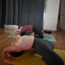 수련 | 광진구 나눔요가 출석률 1위의 1월 수련후기 - 핀차마유라사나 성공!?