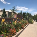 덴버(DENVER) 이미지