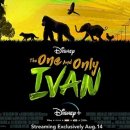 [최신영화]디즈니가 선보이는 감동실화&#34;더 원 앤온리 아이반&#34; (The One and Only Ivan,2020)&#34;세상에 단...