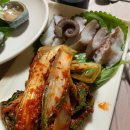 동백수산 Daum카페