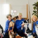 P&M 반려견교육센터 대전점 이미지