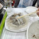 한마리 횟집 | 생새우가 한 마리에 천 원? 청량리 가성비 횟집 다퍼줘 후기 🦐