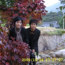 고향나들이 이미지