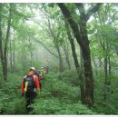 제76차 정기산행 강원 삼척 용인등봉(1124m), 덕풍계곡 문지골 *폭포/계곡트레킹* 산행공지 2012,08,12. 05:30출발 이미지