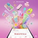 💰 &#34;이 가격 실화?!&#34; 테무에서 5월 4주차 쇼핑 지원금 탈탈 털 추천템 BEST 4 (상상초월 초저가!)