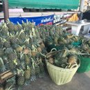 일식농장 이미지