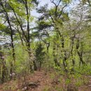 원주굽이길 17코스 동화마을진달래길 이미지