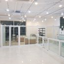 화이트펫# 이미지