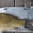 덕곡낚시터 이미지