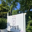예스펫살롱 | [양평] &#39;뽀야쌀롱&#39;강아지 계곡 애견카페(수영장도 있어요)