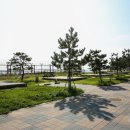 명파 해변 오토캠핑장 이미지