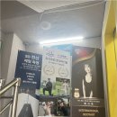 뷰티푸스캣츠