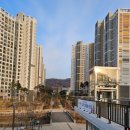 삼성천변 친수공간 | 대전 삼성천변친수공간 둔곡보행교 산책로 징검다리 소류지(둔곡동)