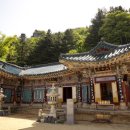 청림동로 | 금산의 청정 자연 속 숨겨진 보물 태고사