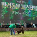 강원도동물위생시험소 | 강원도 춘천여행 2024 춘천 반려동물페스티벌 축제 고구미랑 다녀왔어요