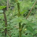 지만농장 이미지