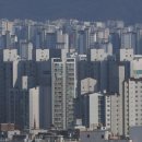 연제구-081 네이버블로그