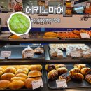 쌤소현대울산 | [내돈내산] 울산 남구 에키노마에 후기 / 현대백화점 팝업