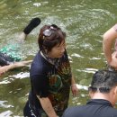 지동초 이미지