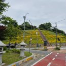 창룡문사거리(동공원) 이미지