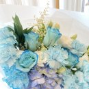 사파동235 이미지