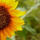 남원무도장 이미지