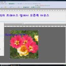 2월 17일 스위시 포토갤러리 수업내용 정리 이미지