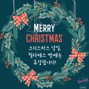 쌍떼 이미지