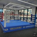 모던복싱클럽 지축 이미지