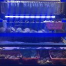 해물명가 이미지