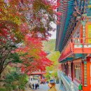 바보온달돈까스 | 충북 단양 가볼만한곳 온달관광지 보발재 구인사 단양 당일치기