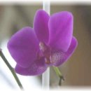 용달화물 이미지